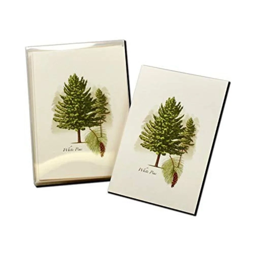 Earth Sky + Water - White Pine Notecard Set - 8 Blank Cards with Envelopes